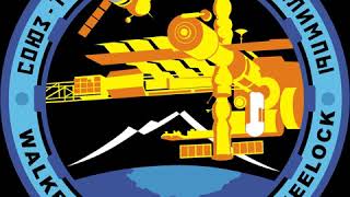Soyuz TMA-19 | Wikipedia audio article