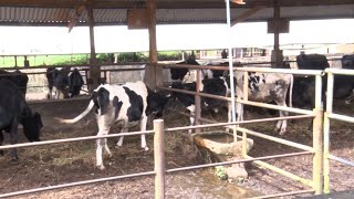 Support Local Livestock Farmers, Do Not Purchase Illegal Meats