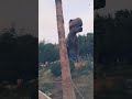 safari dino world