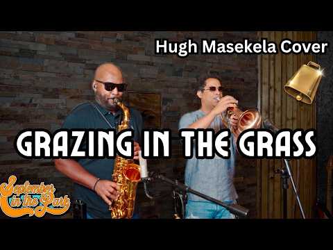 We Need MORE COWBELL | Grazing In The Grass (Hugh Masekela Cover) | September In The Park