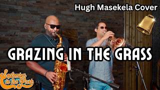 We Need MORE COWBELL | Grazing In The Grass (Hugh Masekela Cover) | September In The Park