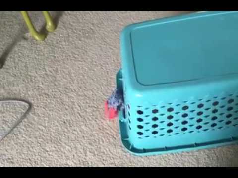 My laundry basket is self loading.