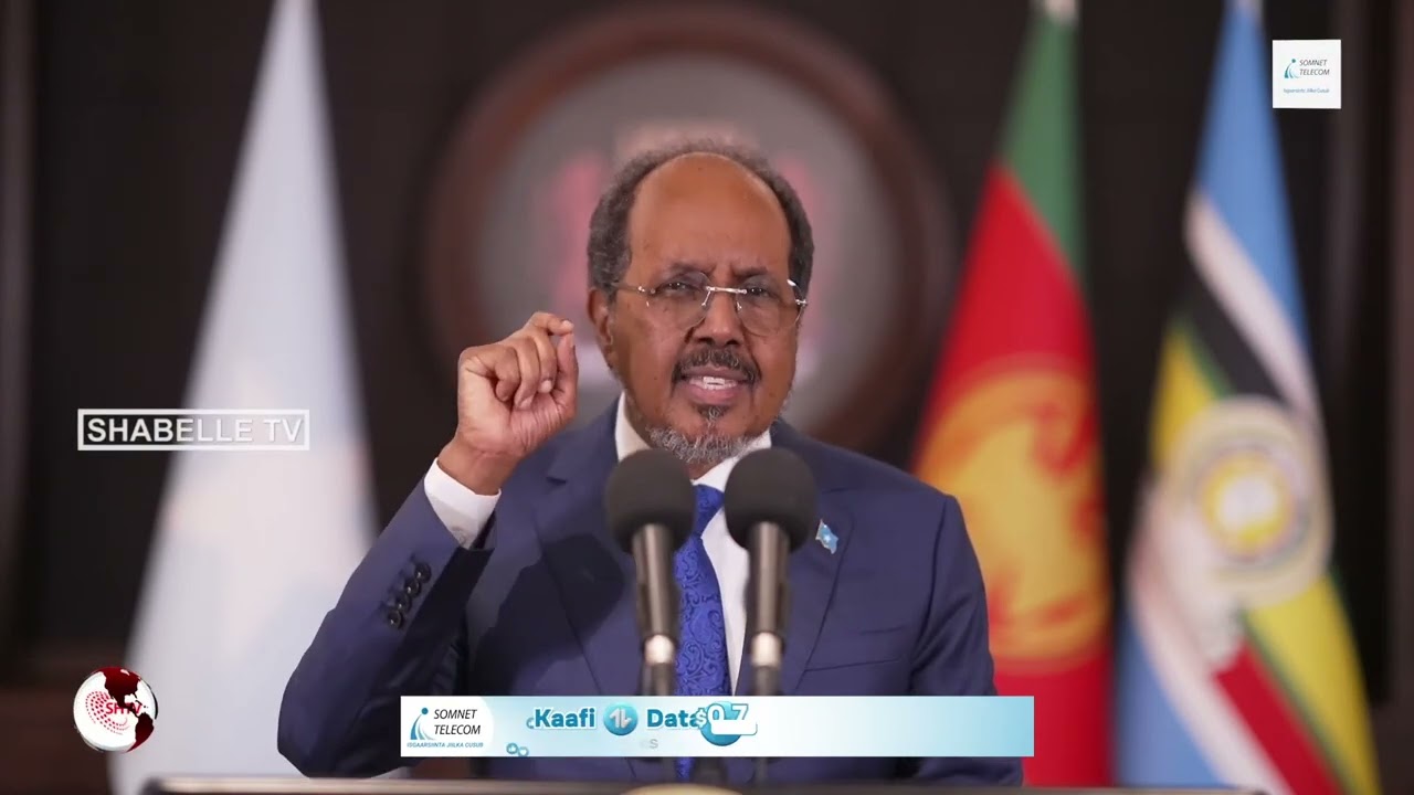 «Сегодня я могу с уверенностью сказать, что «Кульмеелские гиганты» уникальны…» М.В. Хасан