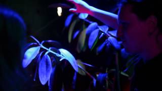 Cyborganic Plants (interactive plants) by Patryk Lichota