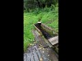 Деревенские прогулки 19/07/2020 д.Селино