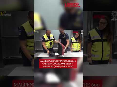 Video Sequestro a Malpensa: 605 carte Pokémon e One Piece per oltre 27mila euro nel bagaglio