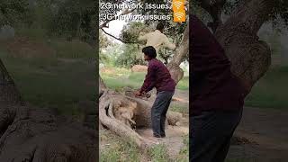 5G network issues #shorts #ytshorts#funny  #5gnetworkproblem #shortsfeeds #trending #mdarshadkhanbth