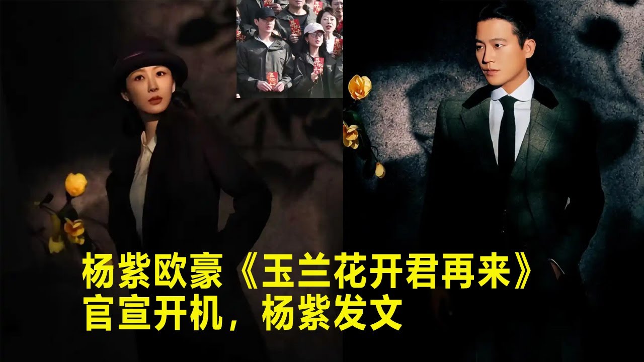 杨紫欧豪《玉兰花开君再来》官宣开机，杨紫发文