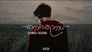 Video thumbnail of "නොහිතුනාට - Nohithunata (Slowed + Reverb) @katzu_vibe"