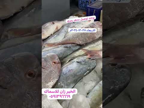 اسماك هامور صافي سمان فسكر ربيان الاربعاء