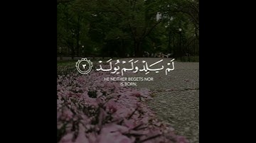 اروع تلاوة القران الكريم ب صوت القارئ ماهر المعيقلى سورة الإخلاص آجمل حالات واتس اب قرآنيه