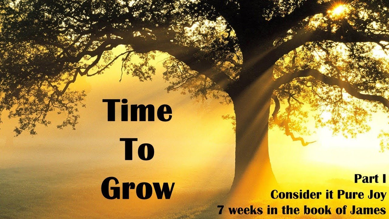 Time To Grow YouTube