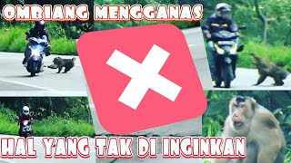 Semua orang kaget!! Hal tak terduga dilakukan si Ombing di sitinjau lauik