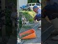元気でおるがやよ　子ヤギとの別れ #shorts