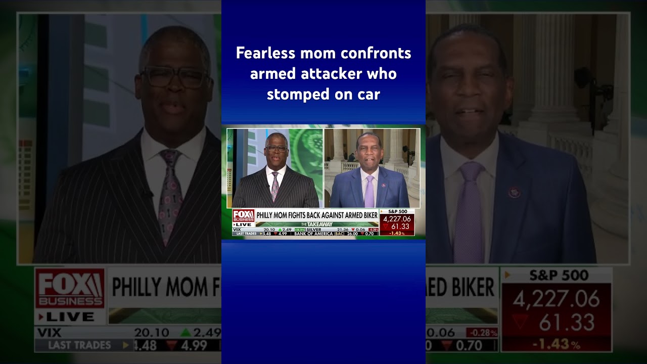 ‘Momma bear shows up’: Burgess Owens praises Philly mom for fighting back #shorts