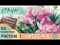 Раскрашиваем картину по номерам МОСФА "Астры" 1 ЧАСТЬ в прямом эфире! Рисовать просто! Раскраски