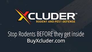 Stop Rodents BEFORE they get inside