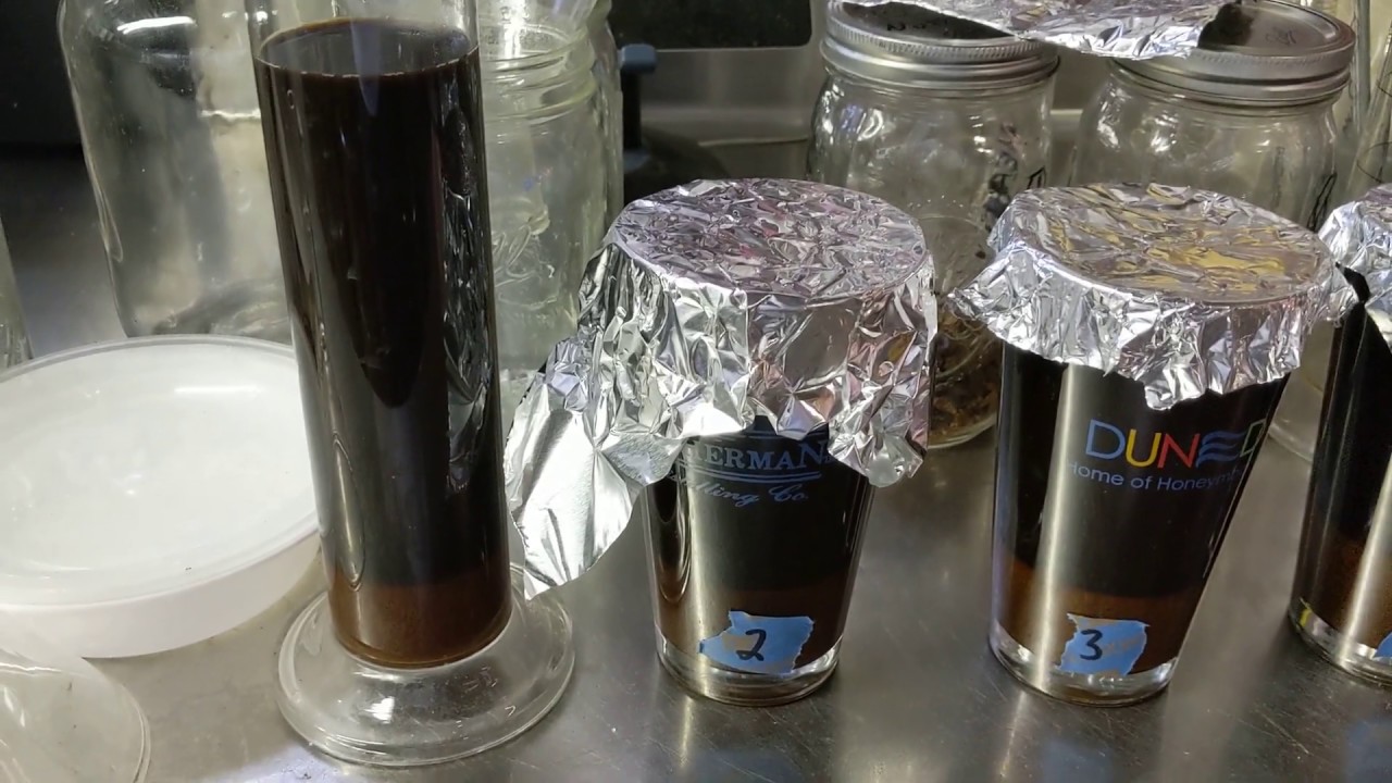 CDC Molasses Prep and fermentation trials YouTube