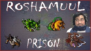 Roshamuul Prison Tibia
