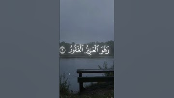 الحمدالله على نعمت القران الكريم 🤍🌿استغفر الله #اكسبلور استخدم الصوت 🥲