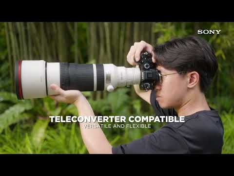 FE 100-400mm F4.5 GM OSS | Take Your Bird Photography to New Heights
