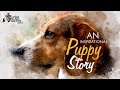 An inspirational puppy story  pr johnkish  testimony  ttt ministries