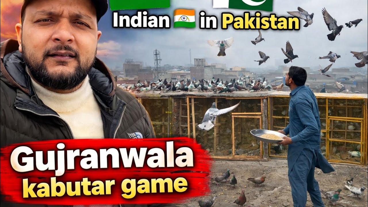 Indian 🇮🇳 in Pakistan 🇵🇰 | Gujranwala Kabutar 🕊️ Game challenge 