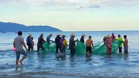 Buổi Chiều Kéo Lưới Của Ngư Dân Thọ Quang Đà Nẵng|MINH LÊ VLOG #121