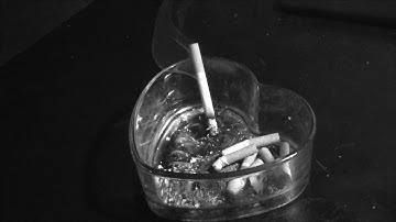 Obsidian - A Swamp (OFFICIAL VIDEO)