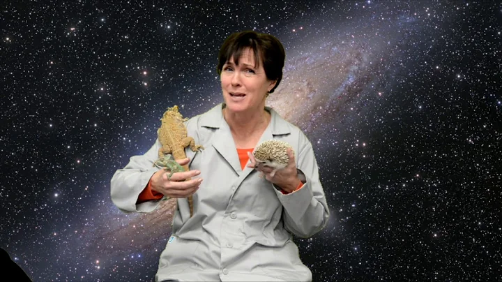 Diane and the Quest to Become an Argonaut