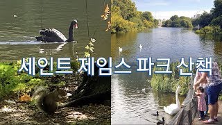 세인트 제임스 파크 산책하기 st james park london