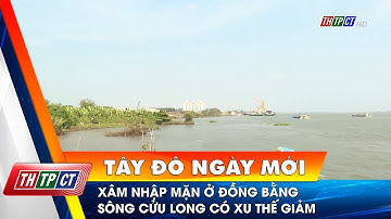 Xâm nhập mặn ở đồng bằng sông Cửu Long có xu thế giảm | Cần Thơ TV