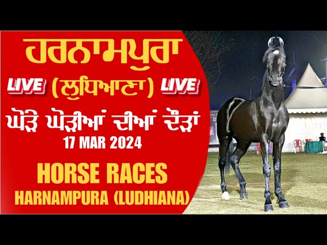 🔴[Live] Harnampura | Ludhiana | Punjab | Horse Races | ਘੋੜੇ ਘੋੜੀਆਂ ਦੀਆਂ ਦੌੜਾਂ | 17 March 2024 class=