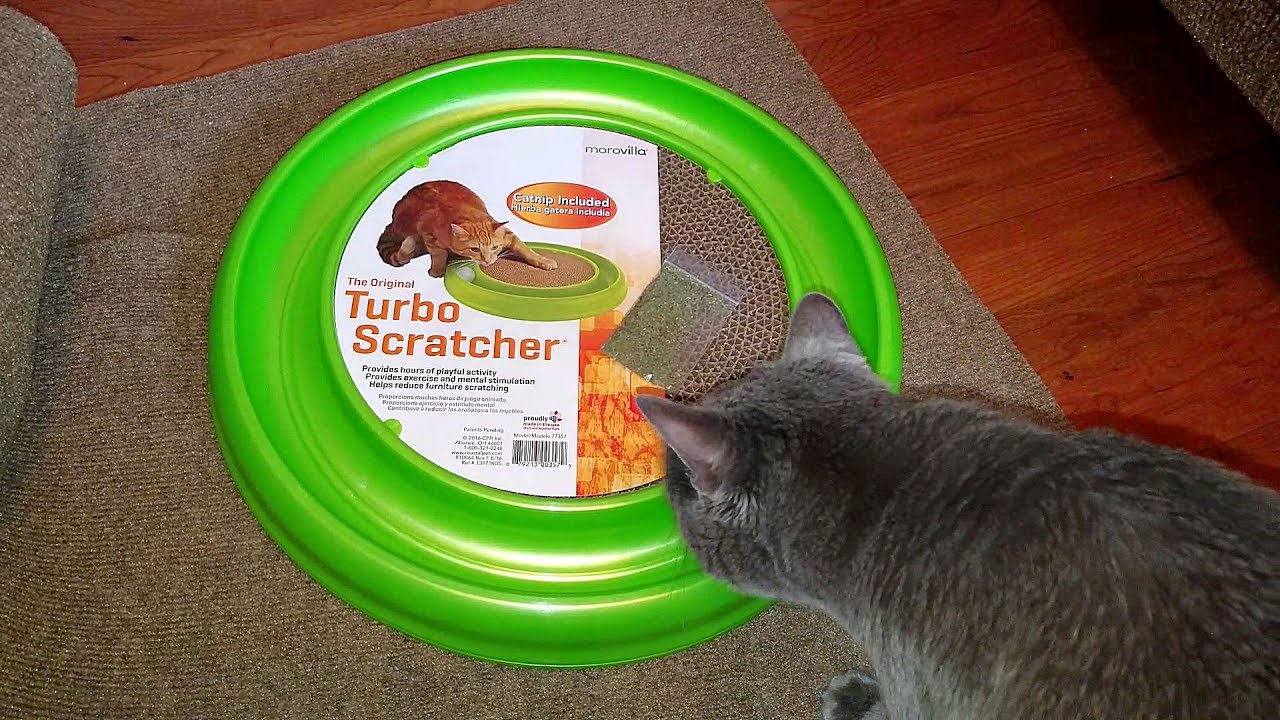 turbo scratcher catnip