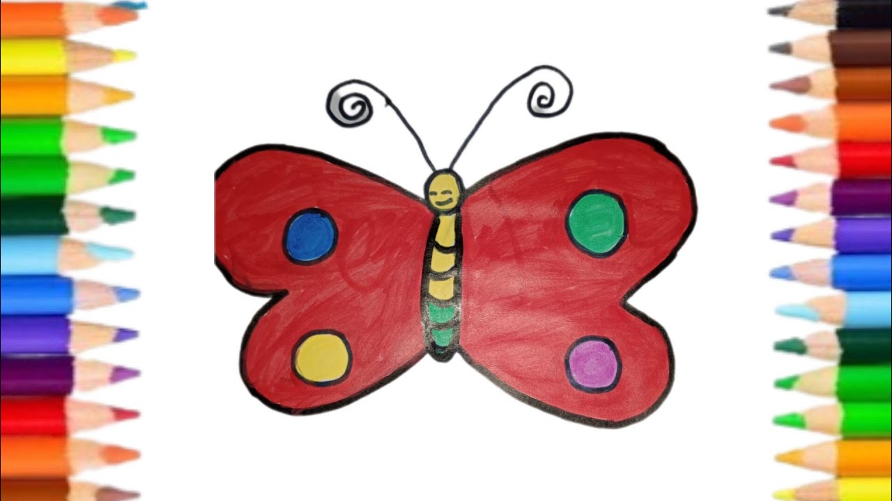  How To Draw Butterfly Drawing, Step By Step Painting And Coloring For Bildidee 