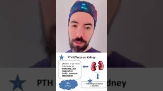 ما هي الغدد الجار درقية Parathyroid Glands ؟ وما هو دورها ؟