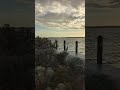 bird enjoying the sunset