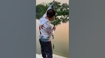 Test Goldfish 3H xem như này ổn không ae? #shorts