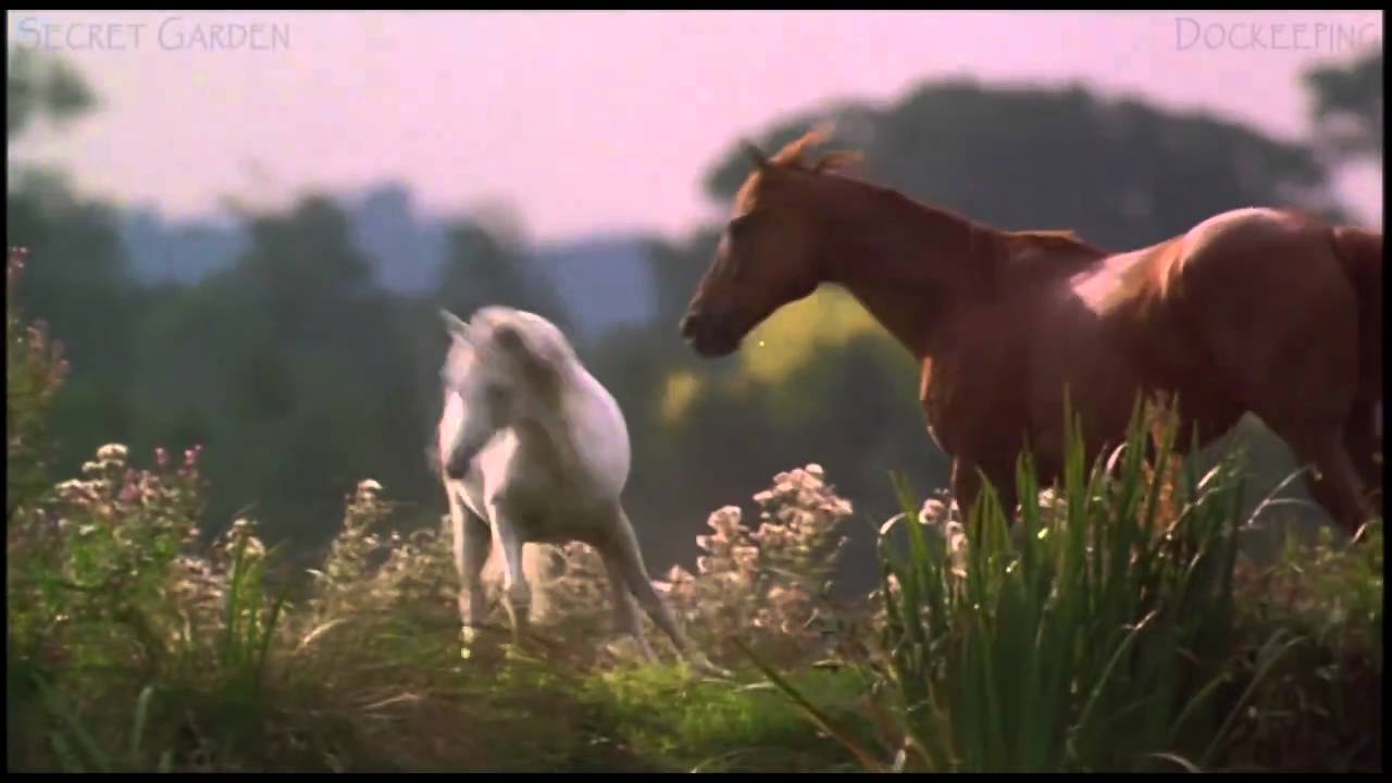 Black Beauty - Memories (Greenwaves)