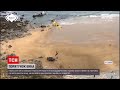 Новини світу: в Іспанії гелікоптером підіймали 800-кілограмового бугая, який впав до урвища