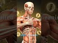Black Gram: The highest calcium lentil for bones!