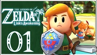 Zelda: Link's Awakening walkthrough and guide to exploring the Nintendo  Switch remake