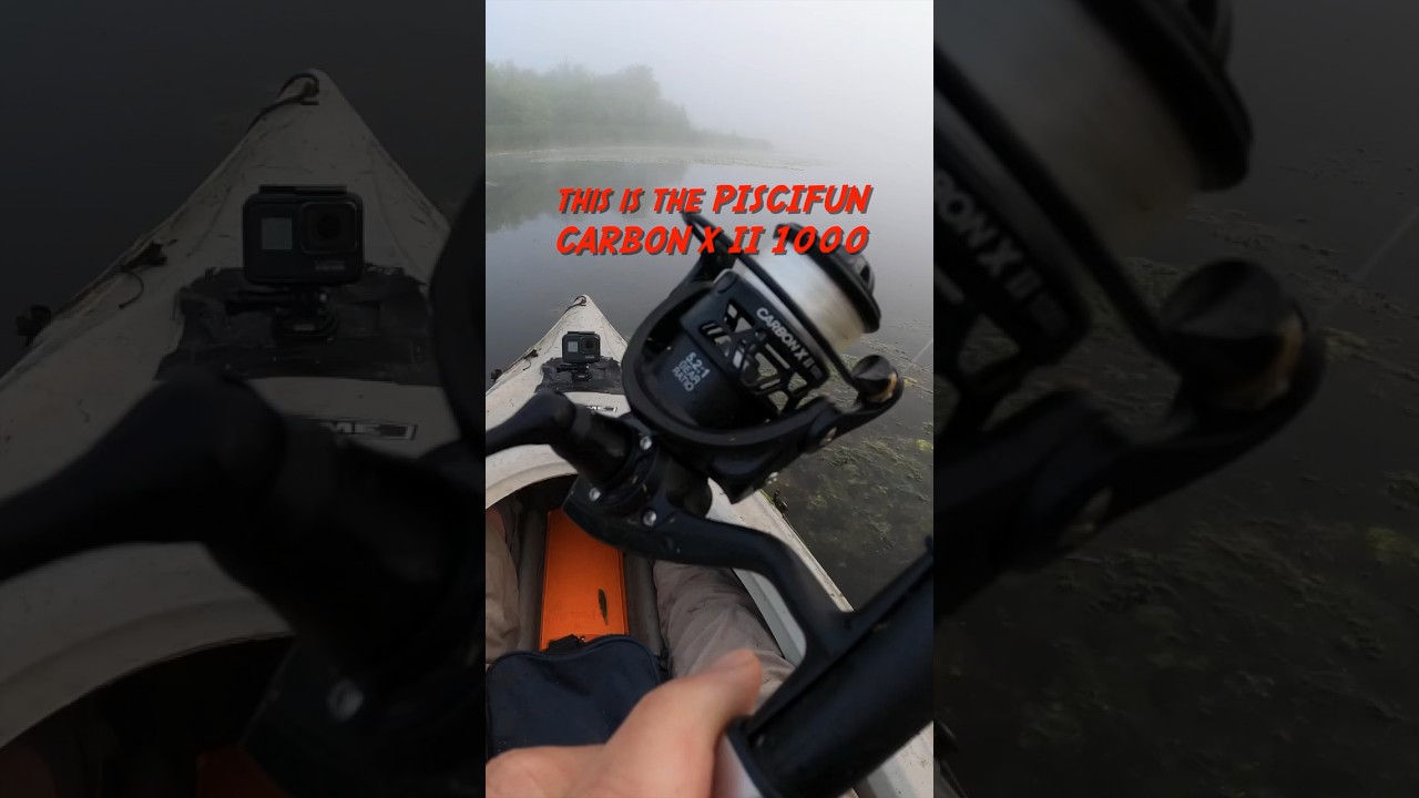 Piscifun Carbon X II 1000 Reel Field Test 