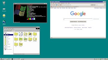 Chicago95 Theme on Kali Linux (Running Firefox 2.0 with Wine)