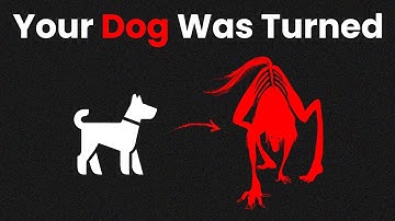 Something is Wearing Your Dog