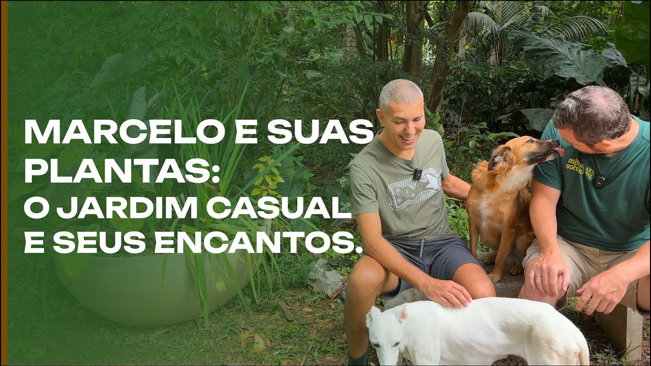 Marcelo e suas plantas: O JARDIM CASUAL e seus encantos.