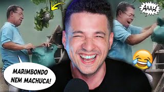 JÁ TEMOS O MELHOR VÍDEO DO ANO - Memes da semana