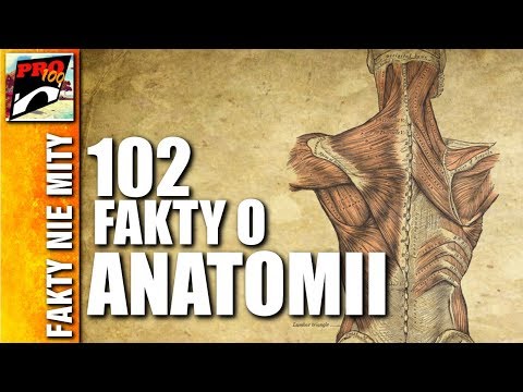 Wideo: Nomenklatura Anatomiczna - Słowniczek Terminów Medycznych