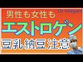 大豆・納豆・豆乳ーエストロゲン過剰に注意