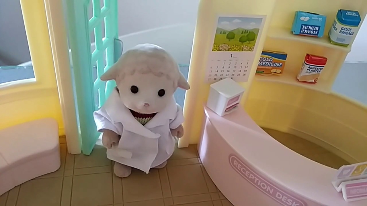 Машина сильваниан фемилис